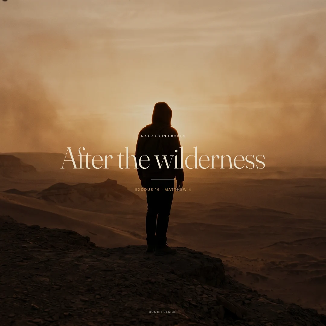 After the Wilderness — Instagram feed post