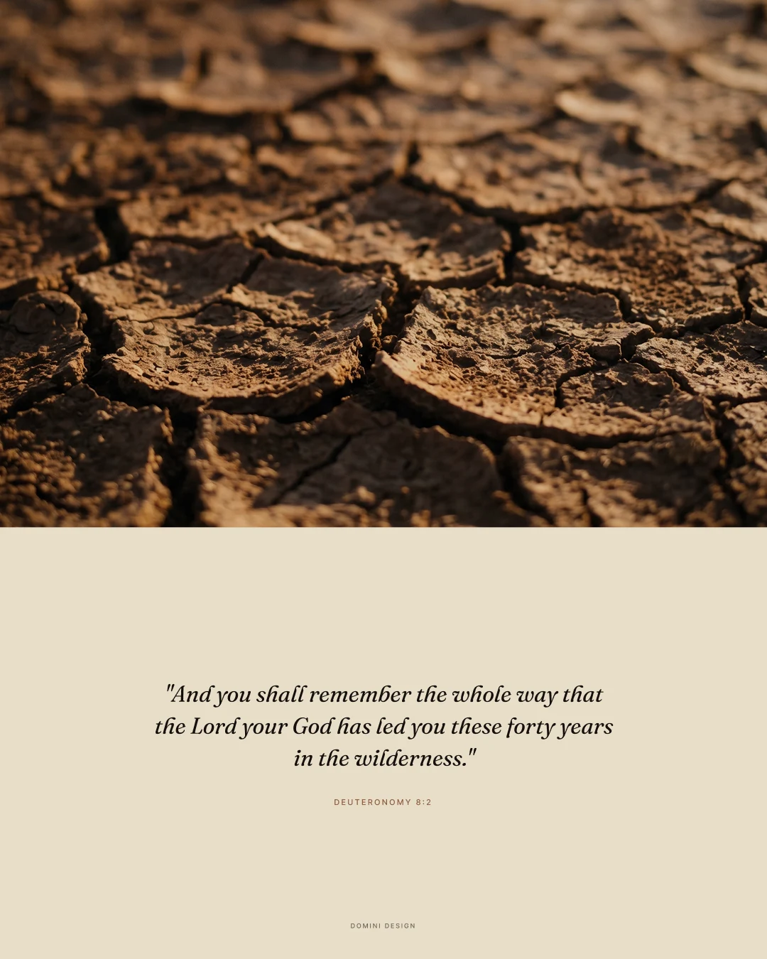 After the Wilderness — scripture verse graphic