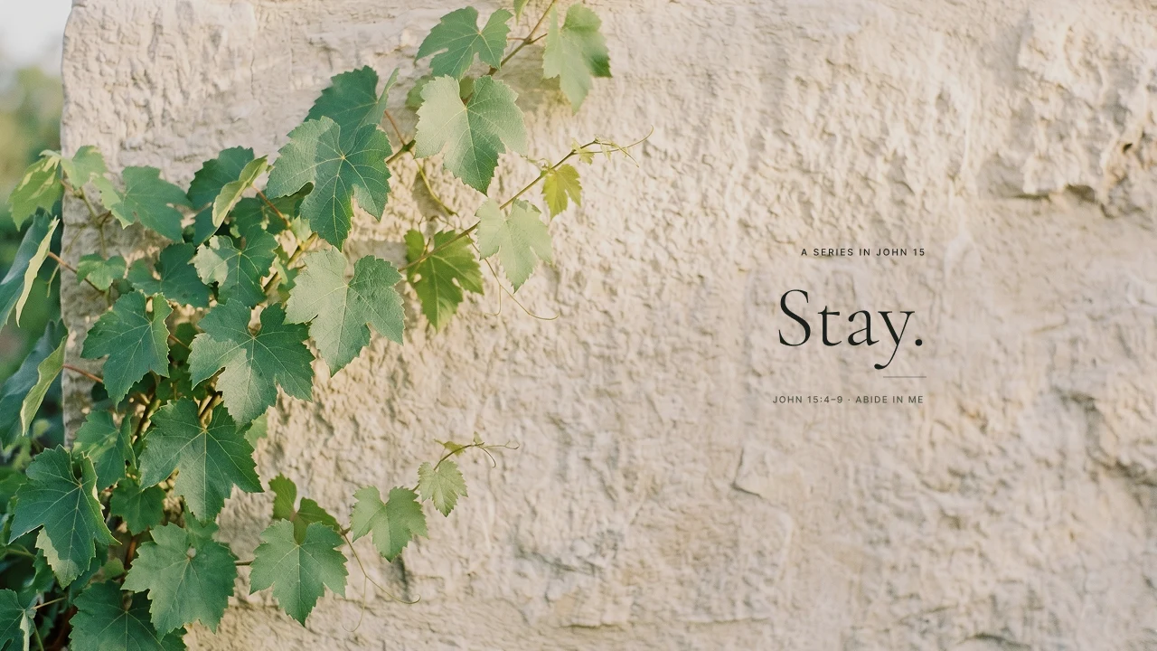 Stay — YouTube thumbnail