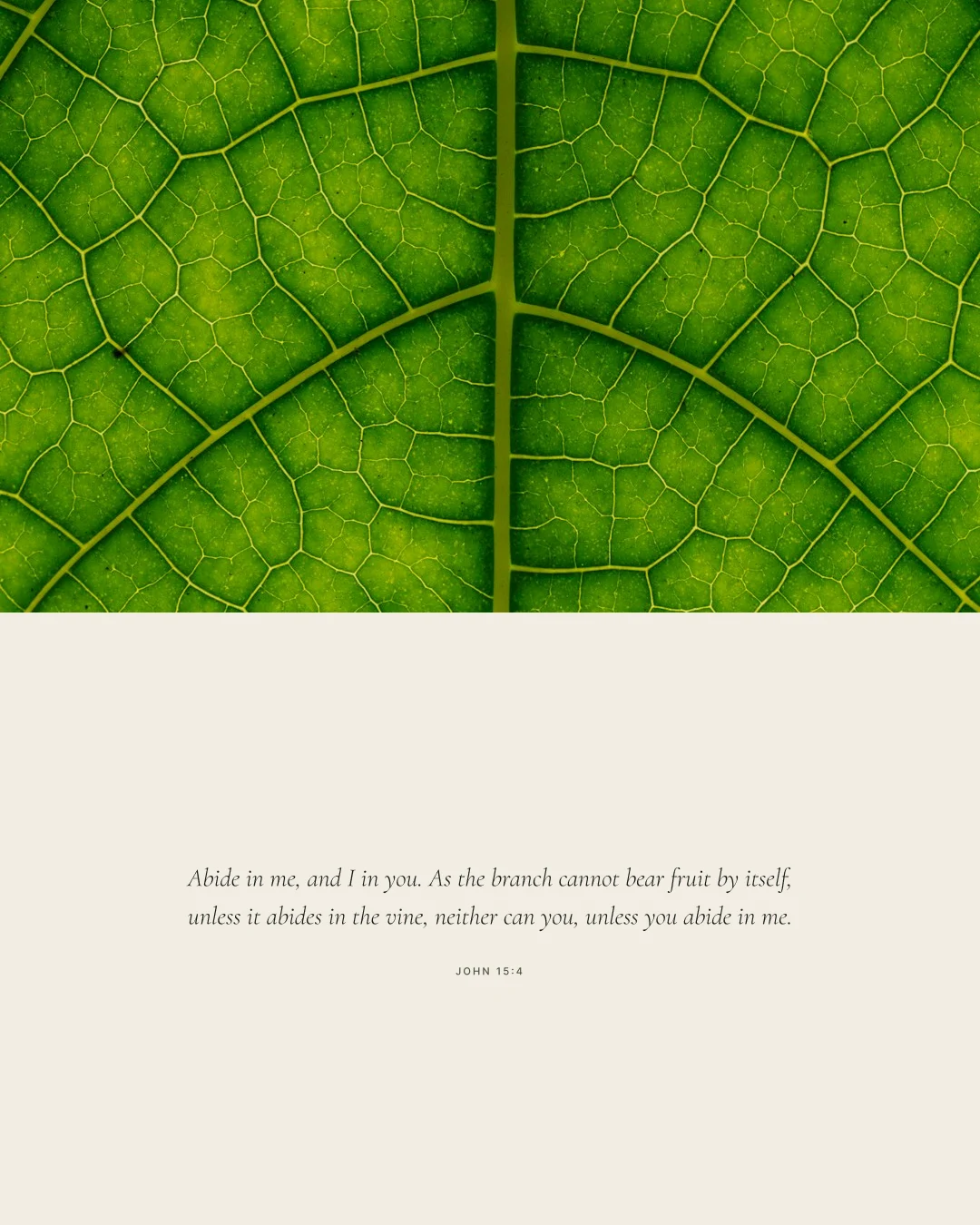 Stay — scripture verse graphic